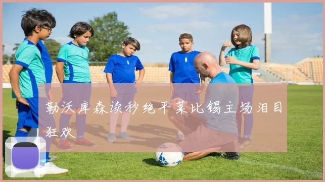勒沃库森读秒绝平莱比锡主场泪目狂欢