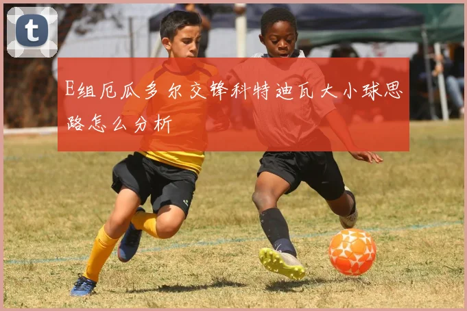 E组厄瓜多尔交锋科特迪瓦大小球思路怎么分析