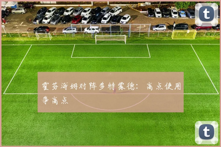 霍芬海姆对阵多特蒙德:高点使用争高点