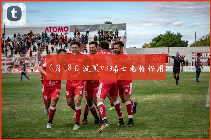 6月18日波黑vs瑞士老将作用