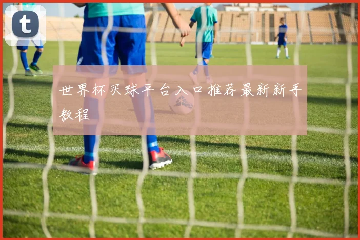世界杯买球平台入口推荐最新新手教程