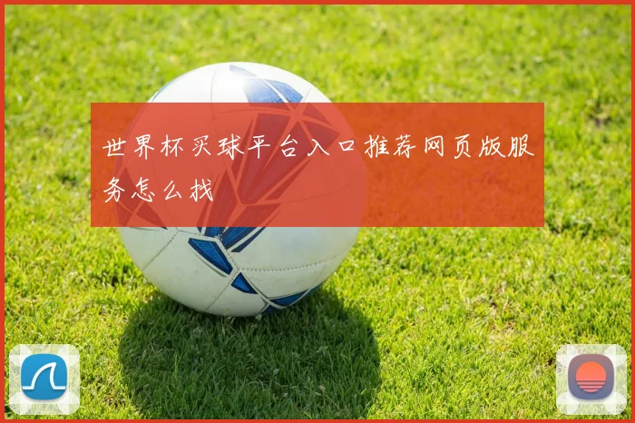 世界杯买球平台入口推荐网页版服务怎么找